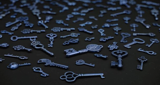 16 نکته برای 10 بازی با گربه که هرگز تکراری نمی‌شن!