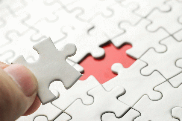 با سگ‌های باهوش دنیا آشنا شوید: 12 سگ باهوش